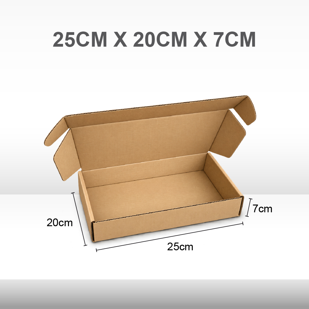 A13. Carton Box_Pizza Box 25X20X7cm