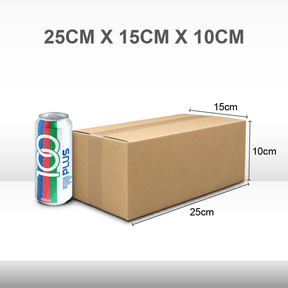 A17. Carton Box_25X15X10cm