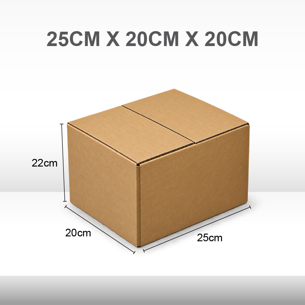 A9. Carton Box_25X20X20cm A9. Carton Box_25X20X20cm
